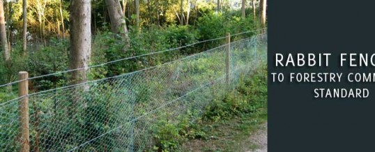 Rabbit Fencing