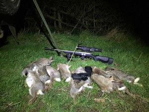 Rabbit pest control north yorkshire