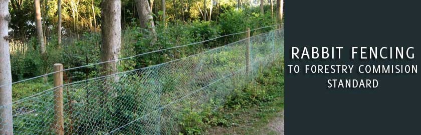 Rabbit Fencing